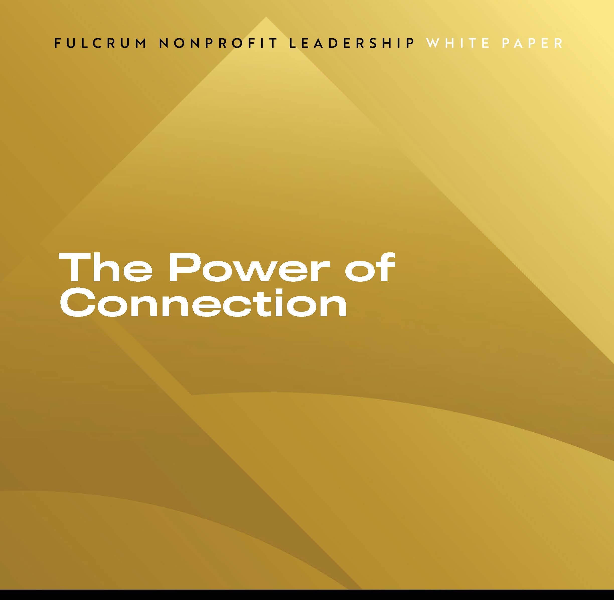 The Power of Connection: Why Nonprofit Leaders Need a Strong Professional Network