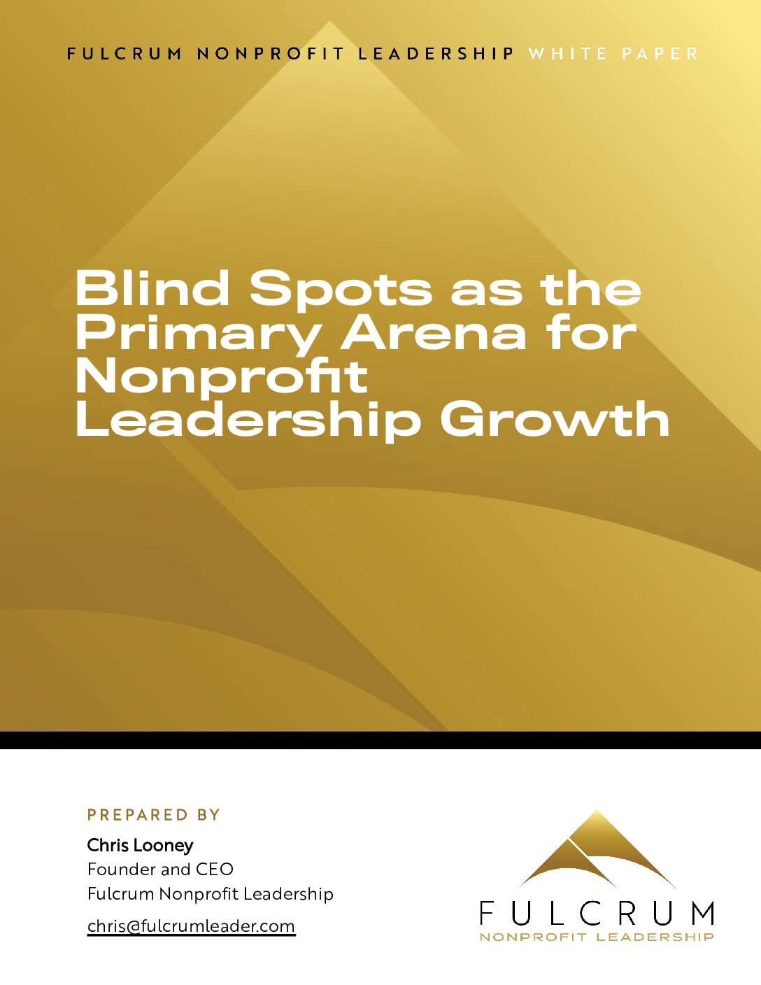 Blind Spots as the Primary Arena for Nonprofit Leadership Growth
