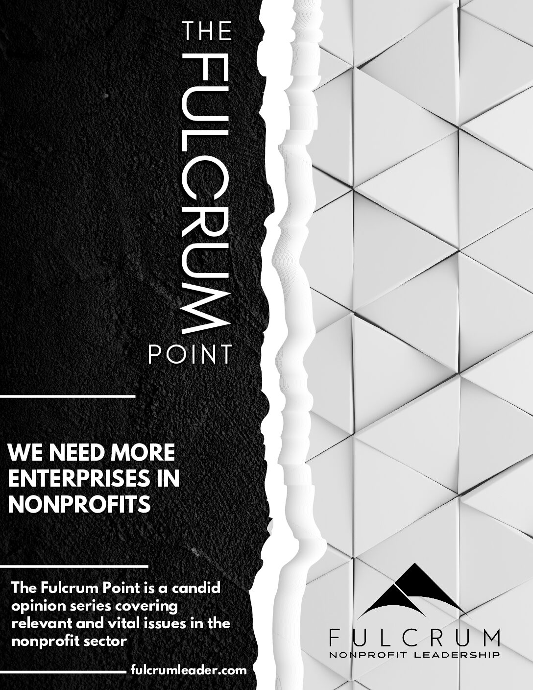 The Fulcrum Point - Opinion - We Need More Enterprises in Nonprofits