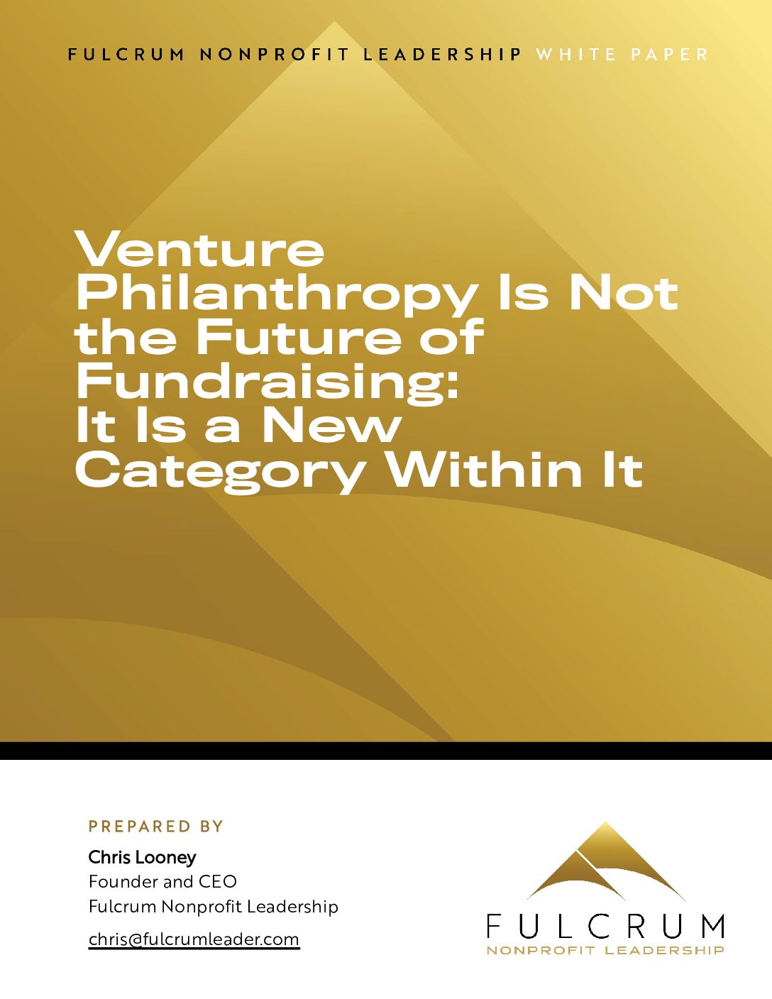 Venture Philanthropy Is Not the Future of Fundraising: It Is a New Category Within It
