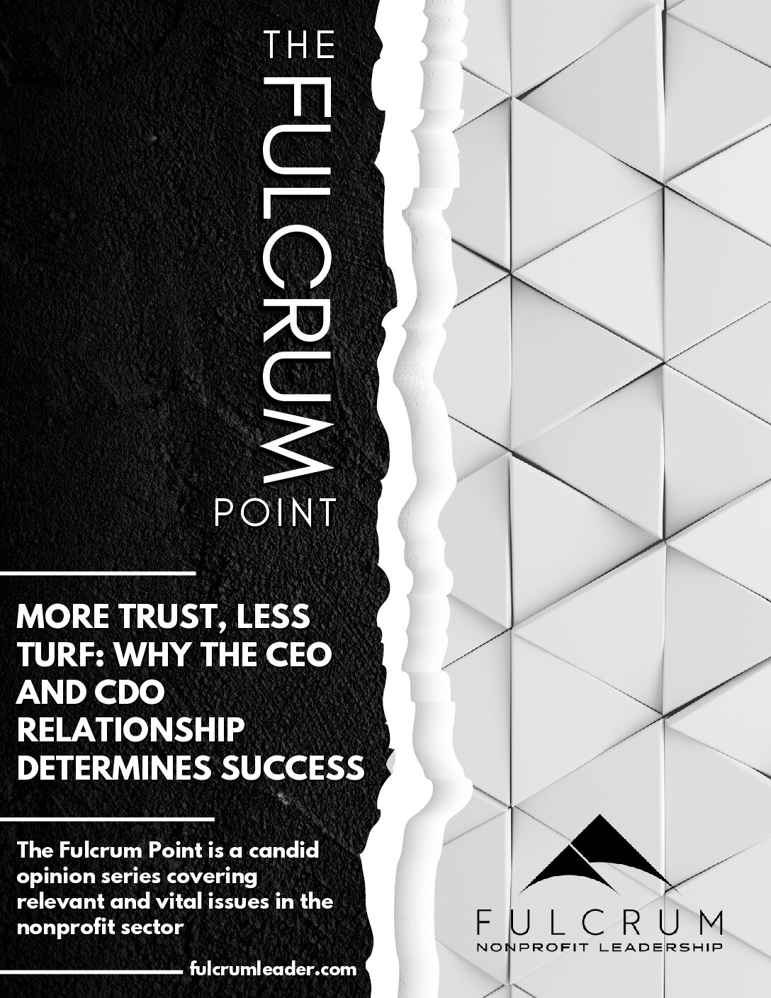 More Trust, Less Turf: Why the CEO and CDO Relationship Determines Nonprofit Success