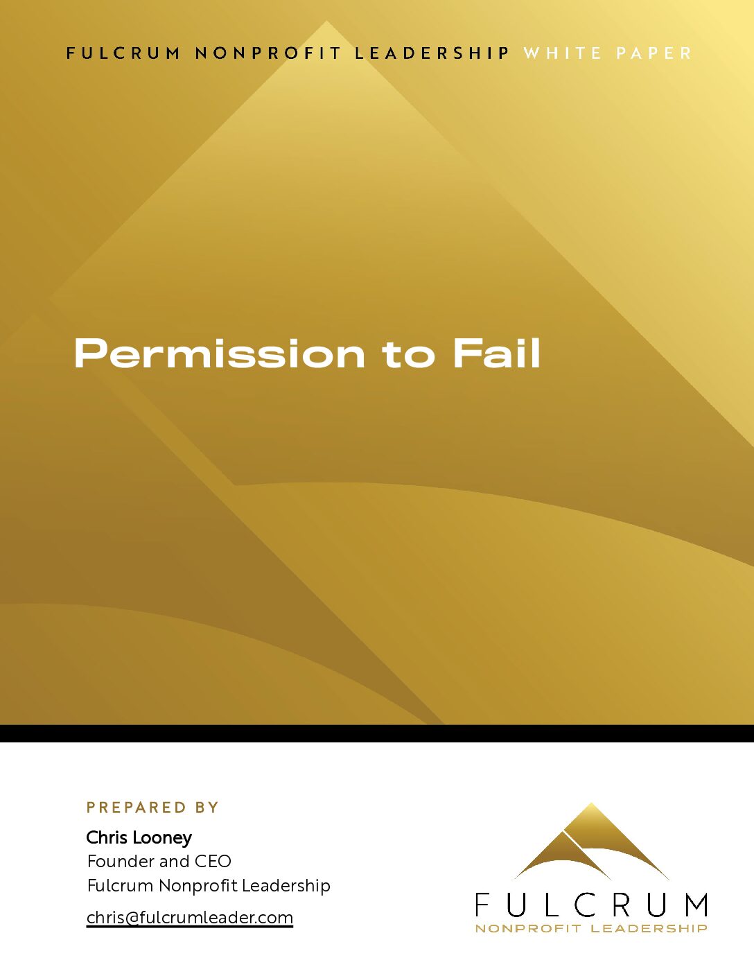 Permission to Fail: Creating Organizations Where People Have the Courage to Learn